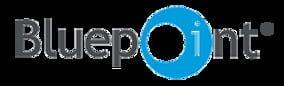 Bluepoint Games