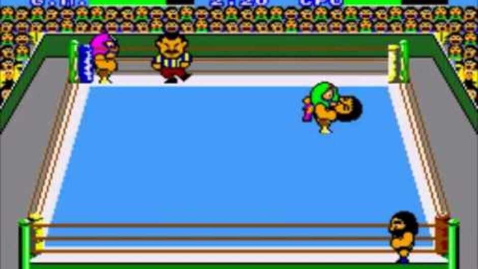 Pro Wrestling screenshot 1