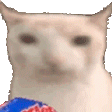 veryCat